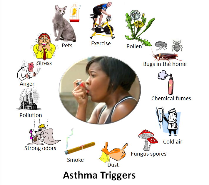 Asthma Auslöser